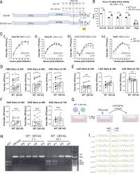 During this lecture we discuss the three primary variants we. Sars Cov 2 D614g Variant Exhibits Efficient Replication Ex Vivo And Transmission In Vivo Science