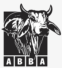 Zebu, sometimes known as humped cattle or brahman, is a type of domestic cattle originating in south asia, characterised by a fatty hump on their shoulders and drooping ears. Download 324kb Brahman Bull Head Transparent Png 1793x1877 Free Download On Nicepng