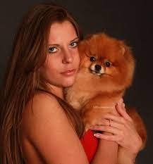 Velocity's Miss Ruby → Померанский шпиц