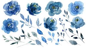 You can use this product to create items for commercial use by selecting small commercial license or the large commercial license under license type. Art Collectibles Clip Art Indigo Dusk Dusty Miller Blue Colors Navy Peony Watercolor Clipart Elements With Sapphire Transparent Png Files Baby Midnight