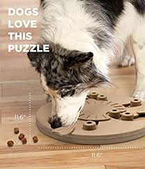 Nina ottosson's dog puzzles have been recommended to me by every pet store employee to curb my 8 month pup's destructive chewing. Nina Ottosson By Outward Hound Dog Worker Treat Dispensing Dog Toy Brain And Exercise Game For Dogs Buy Online At Best Price In Uae Amazon Ae