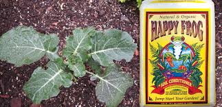Happy frog has enough peat moss in it that more aeration is not really needed, but many people add 20% perlite to any soil they use. Foxfarm Blog