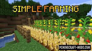 May 06, 2021 · minecraft doesn't have all of the things we see in real life. Simple Hp Bars Hud Mod For Minecraft 1 8 9 1 7 10 Pc Java Mods