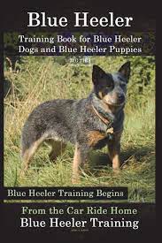 Blue Heeler Training Book For Blue Heeler Dogs And Blue Heeler Puppies By D G This Dog Training Blue Heeler Training Begins From The Car Ride Home Blue Heeler Training Naiyn Mr Doug