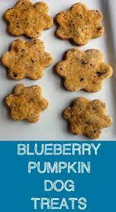 Pin On Dog Treat Recipes