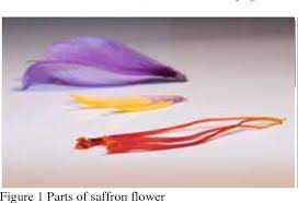 Pdf A Study On The Performance Of The Saffron Separator For Different Air Flows Semantic Scholar