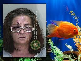 Florida Woman Arrested For Animal Cruelty After Pouring Hot Sauce In Fish  Tank