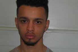 THE NEGRO CRIME RATE