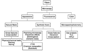 identification and comparison