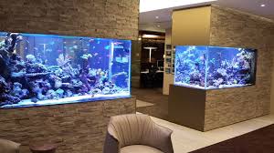 Custom Aquarium Fish Tank Wall Fish Tank Design Fish Tank