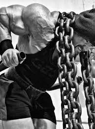 Pin By Sonny Lavigne On Do Work Bodybuilding Workouts Body Training Bodybuilding