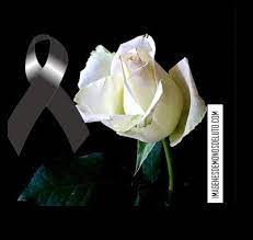 Flores Blancas De Luto Rosa De Luto Frases De Flores Imagenes De Condolencias