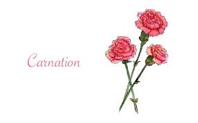 50 beautiful flower meanings that will surprise you. Meaning Of Flowers Sympathy Flowers Flower Meanings Language Of Flowers
