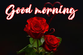 Good Morning Images For Girlfriend Photo Download In 2020 Good Morning Images Very Good Morning Images Good Morning Images Download