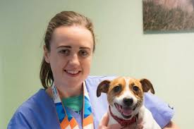 This is how far laura muir's long run is. Tips For Busy Runners From Laura Muir Runner Sradar