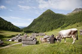 Auf halbem weg zwischen innsbruck und brenner liegt vals: Urlaub Sudtirol Appartement Fischnaller In Vals Gitschberg Jochtal