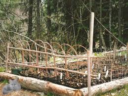 How to make a rustic garden fence. How To Build A Twig Fence Use Those Branches And Twigs