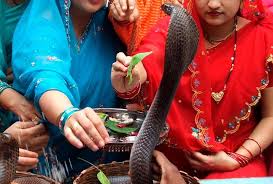 Nag Panchami Celebration History, Story, Mythology, Religion, Timing