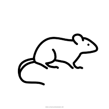 This article contains links to pdf documents of 16 printable coloring pages for the year of the rat in the chinese zodiac. Rat Coloring Page Ultra Coloring Pages