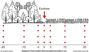 Levins investigated the relative benefits of synchronous versus asynchronous application of control measures for agricultural insect pests. Temporal Changes In The Spatial Distribution Of Carabid Beetles Around Arable Field Woodlot Boundaries Scientific Reports