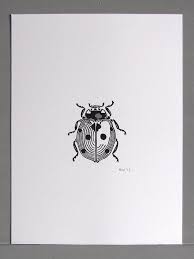 Black And White Ladybug Tattoo Ideas Ladybird Linocut Print By Inkshed Press Ladybird Tattoo Ladybird Drawing Linocut Prints