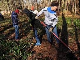 The 25 Best Colleges For Students Who Want To Change The World College Goals College Fun Dream College