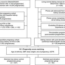 study flow chart dm diabetes mellitus egfr estimated