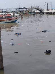 Komposisi sampah yang ditemukn meliputi popok, sampah plastik, dan sampah organik lainnya. Sungai Di Tanjab Barat Target Tempat Pembuangan Sampah Radarjambi Co Id Berita Independen Akurat
