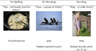 Grammar, reading, spelling, & more! Phonological Decoding Enhances Orthographic Facilitation Of Vocabulary Learning In First Graders Springerlink