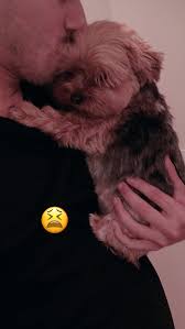 Pin By Amber Ooley On M M Crown The Empire Teddy Teddy Bear