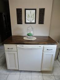 The Precious Little Things In Life Diy Dishwasher Cabinet Kitchen Remodel Small Dishwasher Cabinet Diy Kitchen Island