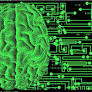 Brazilian Businesses Face Challenges and Strategies in AI Integration for Transformation