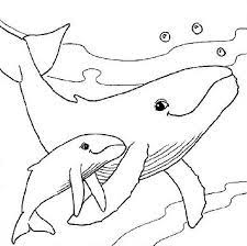 Download and print these cute baby animals coloring pages for free. Mom And Baby Whale On Dive Sea Animals Coloring Page Animal Coloring Pages Whale Coloring Pages Baby Coloring Pages