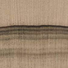 It is an excellent choice for quick. Leyland Cypress The Wood Database Lumber Identification Softwood