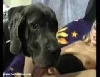 Zoofilia caseira de uma mulher sendo comida por um cachorro. Novinha Tarada Fazendo Zoofilia Com Cachorro Safado Zoofilia Gratis