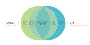 Guidelines on unlock 4, as annexed, will be in force upto. Pan Genome Unlocking The Potential Of Diversity Nrgene The Leading Genomic Big Data Company