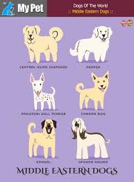 Middie Eastern Dogs From Central Western Asia Akbash Anatolian Shepherd Turkey Central Asian Shepherd Pakistani Asian Dogs Dog Drawing Dog Breeds