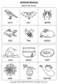 Pin By Amber Bosshardt On Animals Preschool Science Kindergarten Lesson Plans Kindergarten Lessons