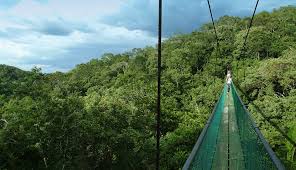 Parque Natural Ixpanpajul