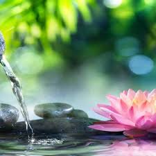 Maybe you would like to learn more about one of these? Stream Relaxing Piano Music Relaxing Music Sleep Music Meditation Music Spa Music 109 By Soothing Relaxation Listen Online For Free On Soundcloud