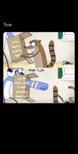 ترووو in 2021 story