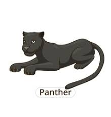 Panther Cartoon Drawing Vector Images Over 610 We hope you enjoy our growing collection of hd images to use as a background or home screen for your smartphone or computer. panther cartoon drawing vector images