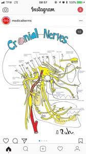 Anatomy coloring book download free of book in format pdf book appearances if you want to download or read this book please go to the last slide if you want to download or read dental anatomy coloring book, click button download in the last page download or read. Dental Anatomy Coloring Book Dental Anatomy Anatomy Medical School Studying