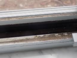 This is especially true when there are temperature differences between the indoor and outdoor air during cold weather months. Mold And Dirt In The Window Sill Picture Of Comfort Inn Kissimmee Lake Buena Vista South Tripadvisor