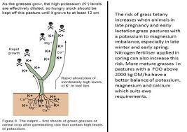 Image result for Tetany