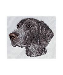 Image result for německý ohař krátkosrstý