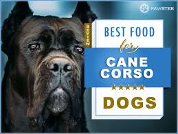 6 Best Foods To Feed Your Puppy And Adult Cane Corso In 2019