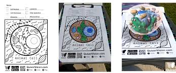 Choose jelife natural food coloring powder for kids, make each one a sweet work of art, more attractive, and. Augmented Reality Digital Creativity And Teaching