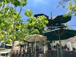 We did not find results for: Taco Fish La Paz Guadalajara Restaurant Reviews Photos Phone Number Tripadvisor