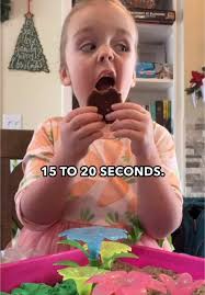 Fun Kids Activities and DIY Garden Ideas with Dad